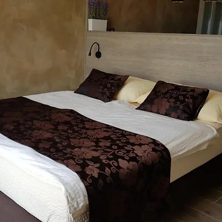 Apartment Premium Appartments Suha Punta