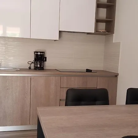 Apartment Premium Appartments Suha Punta Kampor